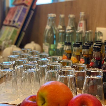 拜德纽斯塔德特城堡酒店 萨勒河畔巴特诺伊施塔特 外观 照片